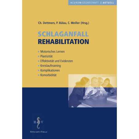 Schlaganfall Rehabilitation
